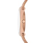 Relógio Skagen Denkamark Feminino Rose - SKW3035 - Image 2